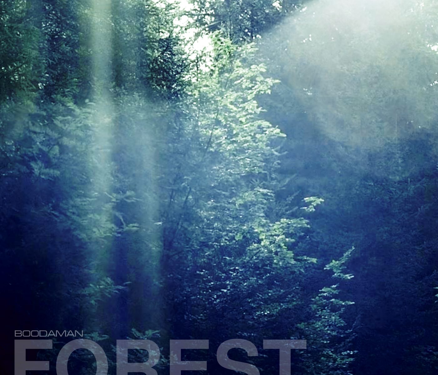 Boodaman - Forest